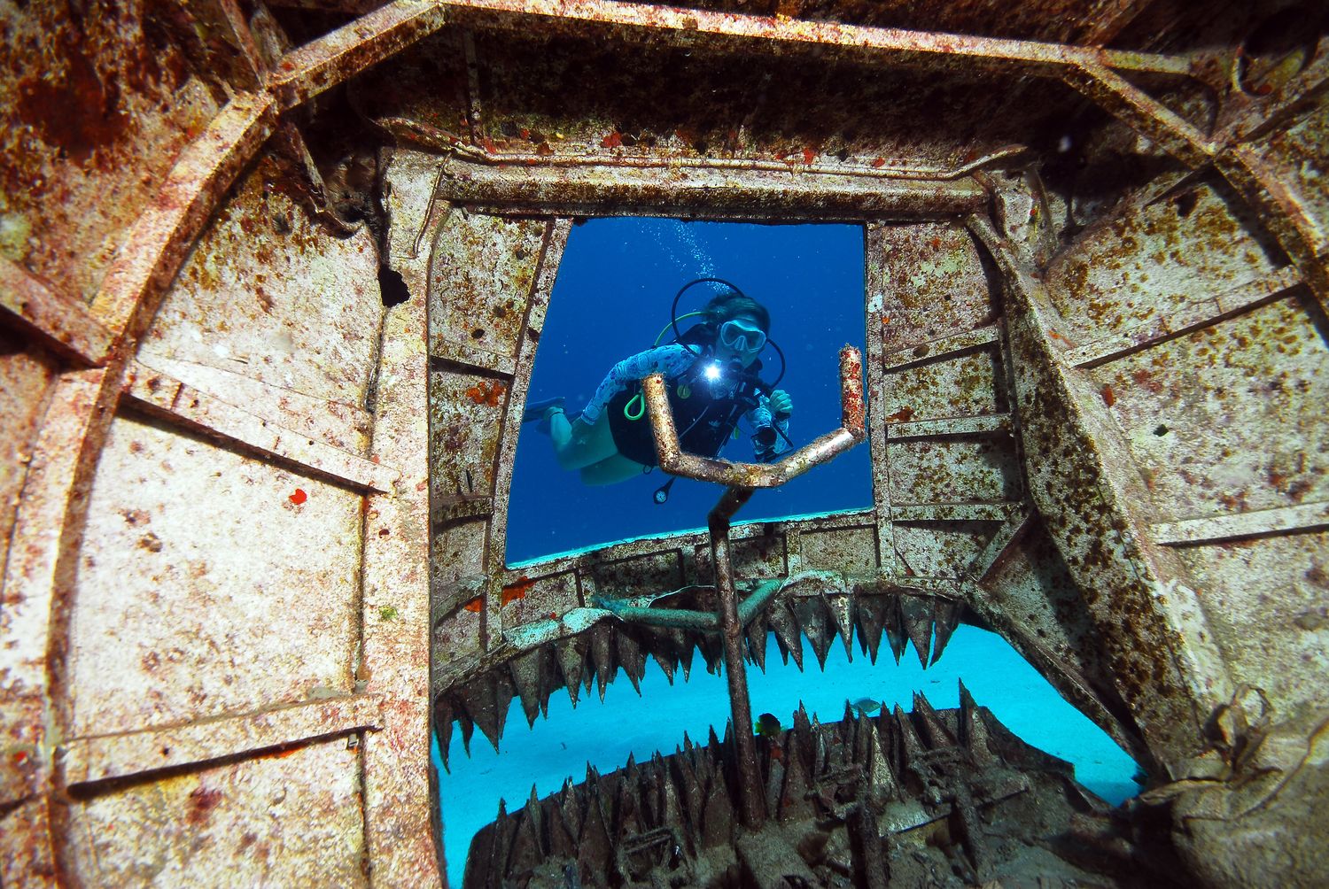 A diver explores the BVI Art Reef