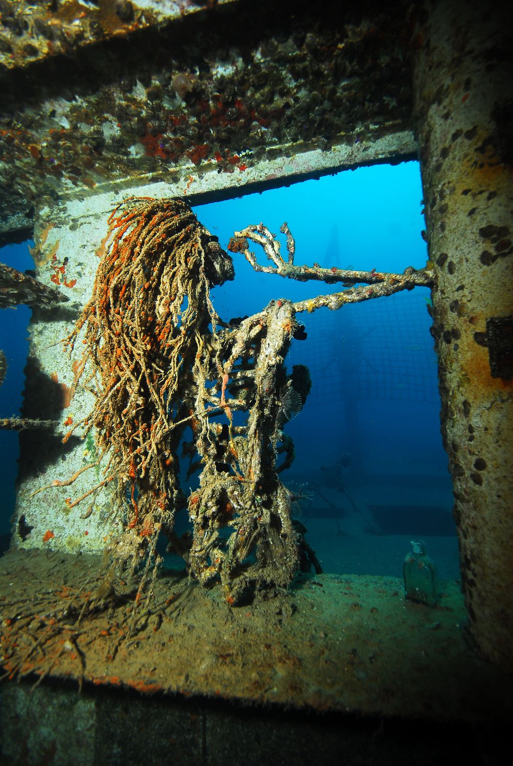 An encrusted sculpture on the BVI Art Reef