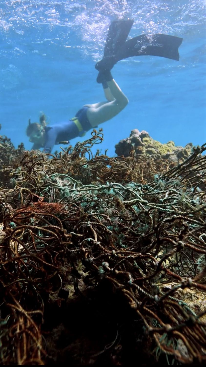 Free-diving a reef tangled with ghost fishing gear