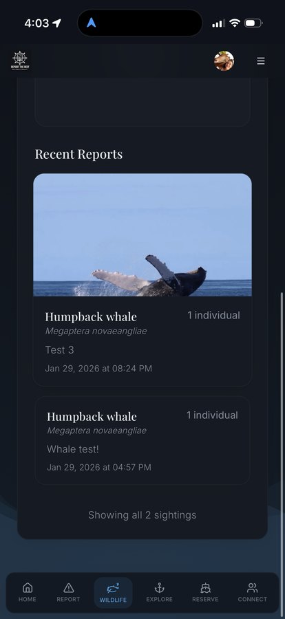 Report The Reef app screen