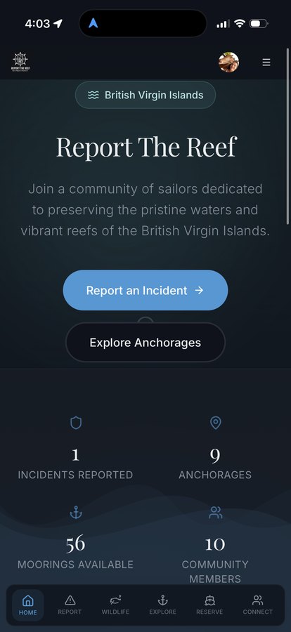 Report The Reef app screen